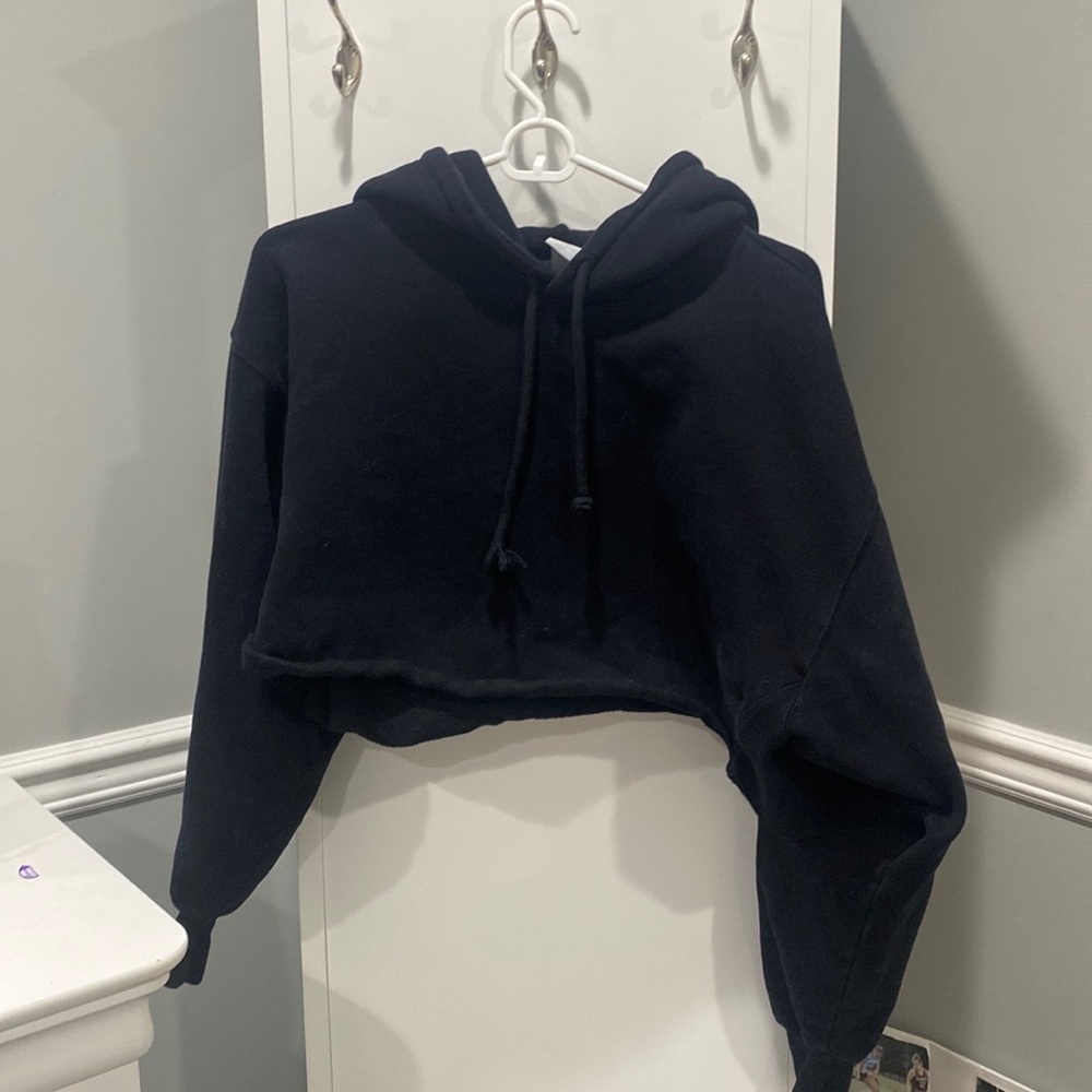 Aritzia cropped hoodie